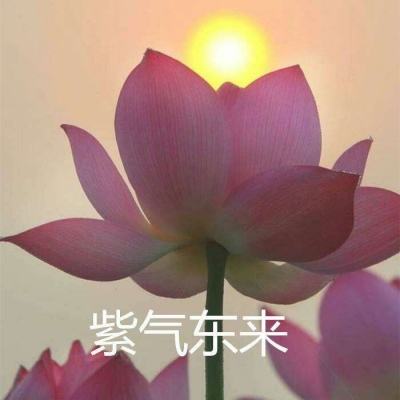 兵临三国百度版下载